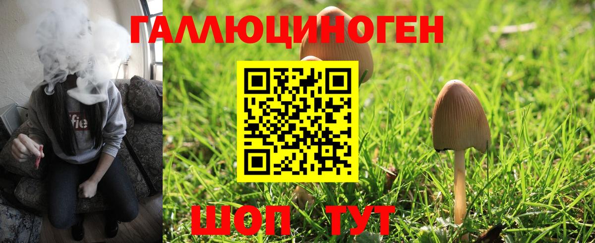 Черногорск  Псилоцибиновые грибы мицелий  Псилоцибиновые грибы ЛСД  Вход с VPN 